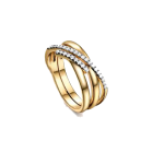 Curves Golden Earrings